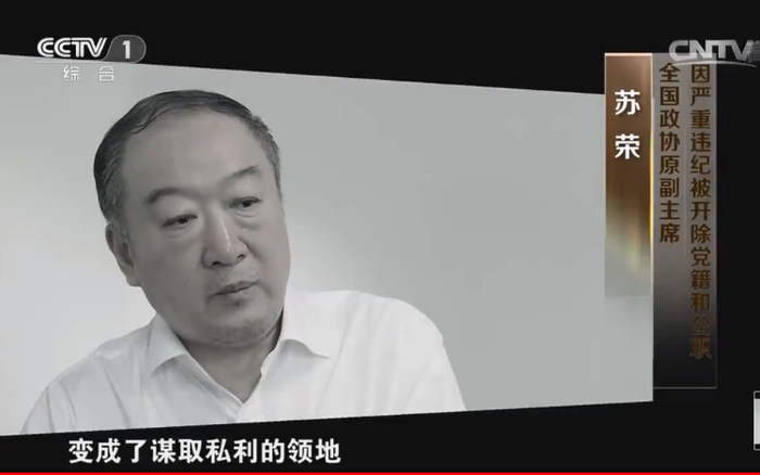 全国政协原副主席苏荣。图片来源/央视截图