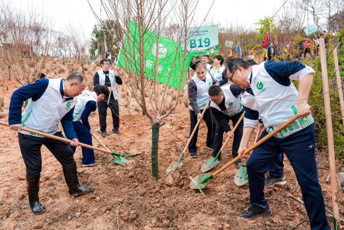 省市国资委国企代表积极参与植树