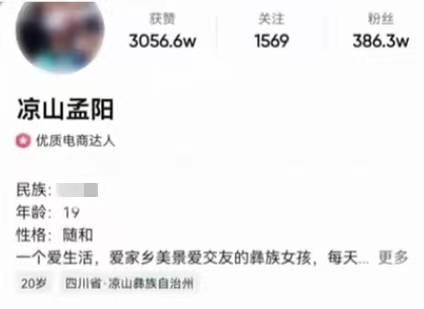 ▲凉山孟阳”在某短视频平台的粉丝超过386万