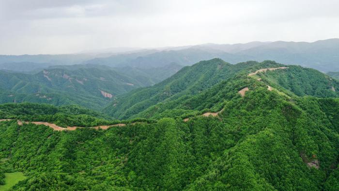 2022年6月7日拍摄的天水市张家川回族自治县关山林场美景（无人机照片）。新华社记者 陈斌 摄