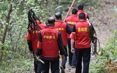 护林员  /图源：四川在线