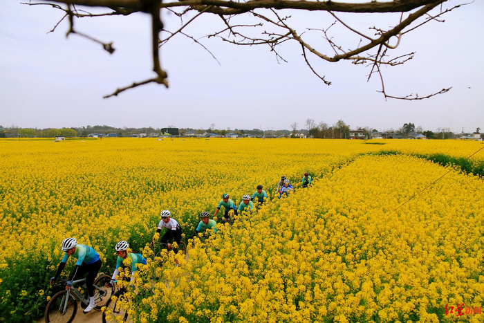 ▲往届环山环湖自行车公开赛现场