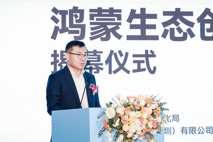 深圳市工业和信息化局副局长 林毅