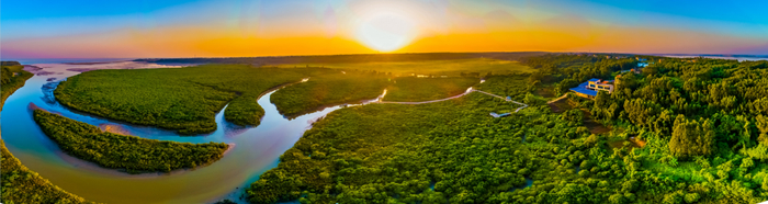 广西山口红树林生态国家级自然保护区景观。冯国庆 摄（资料图）