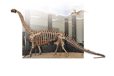 揭秘恐龙"巨无霸"|内蒙古博物馆|内蒙古|恐龙_新浪新闻