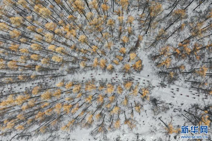 1月4日，第22届中国长春净月潭瓦萨国际滑雪节在吉林长春开幕，参赛选手在比赛中（无人机照片）。 新华社记者 许畅 摄