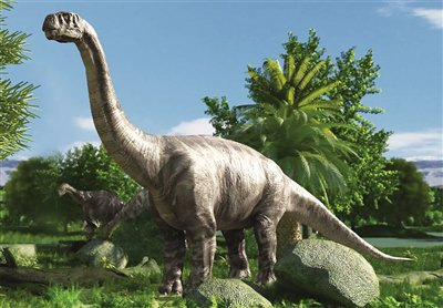 揭秘恐龙"巨无霸"|内蒙古博物馆|内蒙古|恐龙_新浪新闻