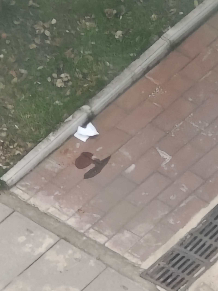 近日，武汉大学校园内出现了游客随地大小便的痕迹。（图/受访者提供）          