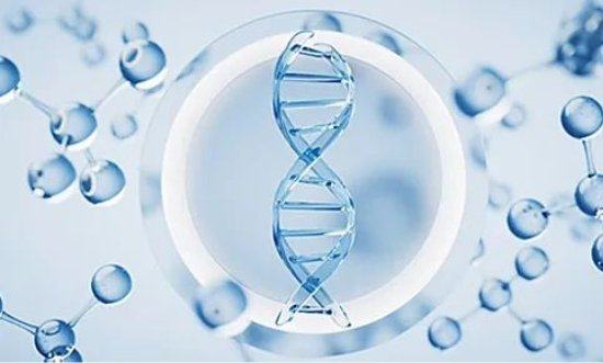 ne sod,用超级成分做好抗老这件事