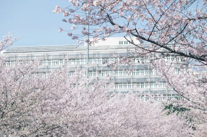 本文综合自：同济大学微信公众号、澎湃新闻