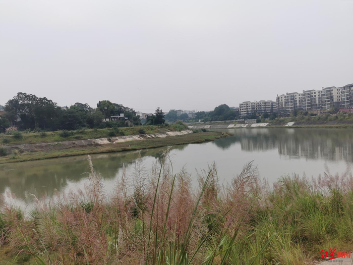 ▲周女士溺亡的地方