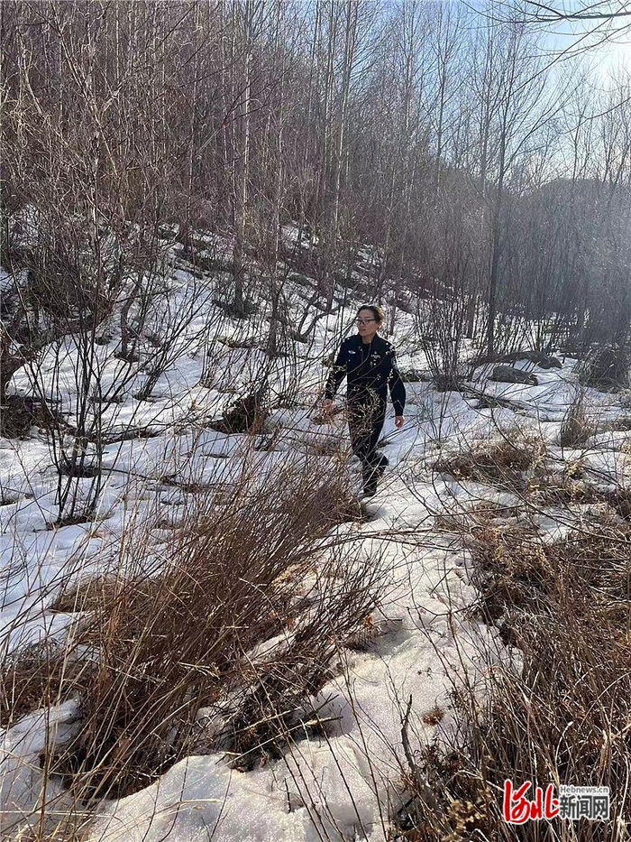 3月11日，田素云到小五台山分沟巡护，排查野外用火隐患。 小五台山支队供图