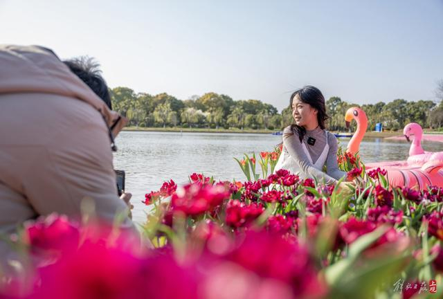 上海鲜花港盛装开放,万花争艳竞相迎春|上海鲜花港|花展|花朵_新浪