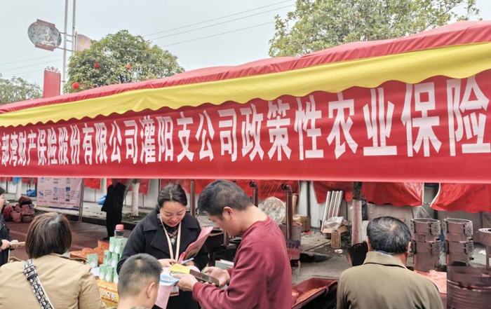 图为北部湾保险灌阳支公司开展政策性农险宣传（陈溪摄）