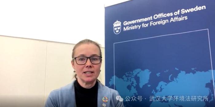 瑞典外交部可持续经贸事务大使 Cecilia Ekholm 阁下