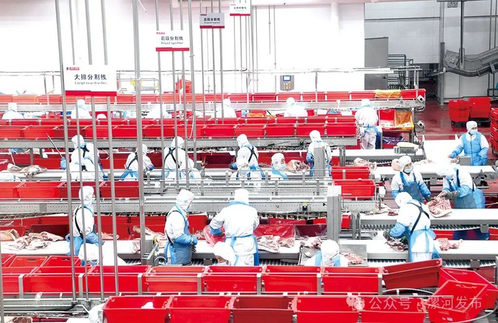 ▲在双汇工业园生产车间，工人在流水线上作业。（资料图片）