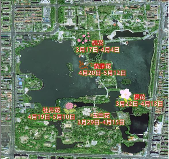 水上公园主要观赏花卉最佳观赏期预报示意图