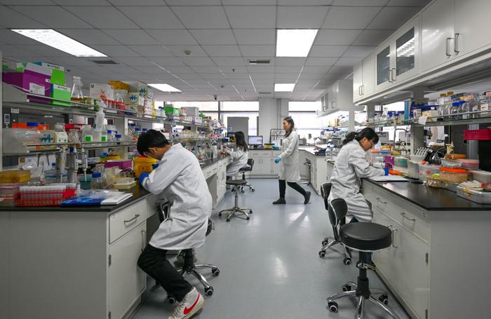 2024年1月2日，科研人员在中国科学院天津工业生物技术研究所实验室内工作。新华社记者 孙凡越 摄
