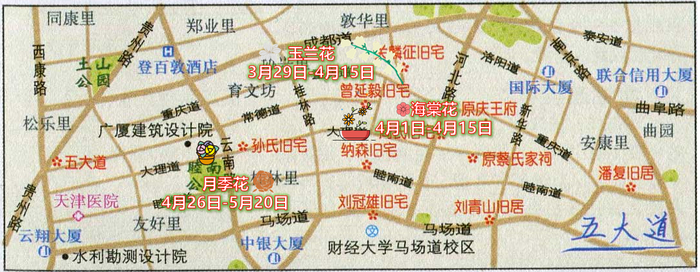 五大道主要观赏花卉最佳观赏期预报示意图