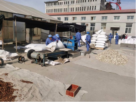 安国某饮片厂正在建设的新厂房（图片来源：财联社记者摄）