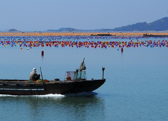 （“彩虹海”海上牧场 财联社记者摄）