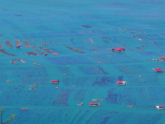 （“彩虹海”海上牧场俯瞰 财联社记者摄）