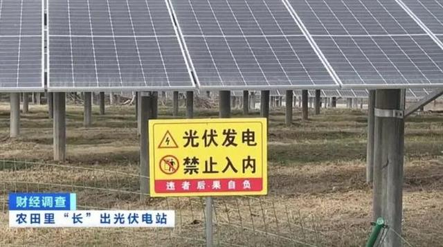 央视《财经调查》视频截图
