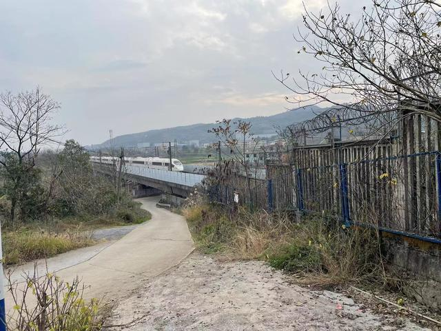 　　高铁穿村而过。新京报记者 熊丽欣 摄