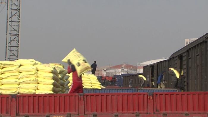   国铁济南局兖州北站工作人员正在装卸化肥。（视频截图）