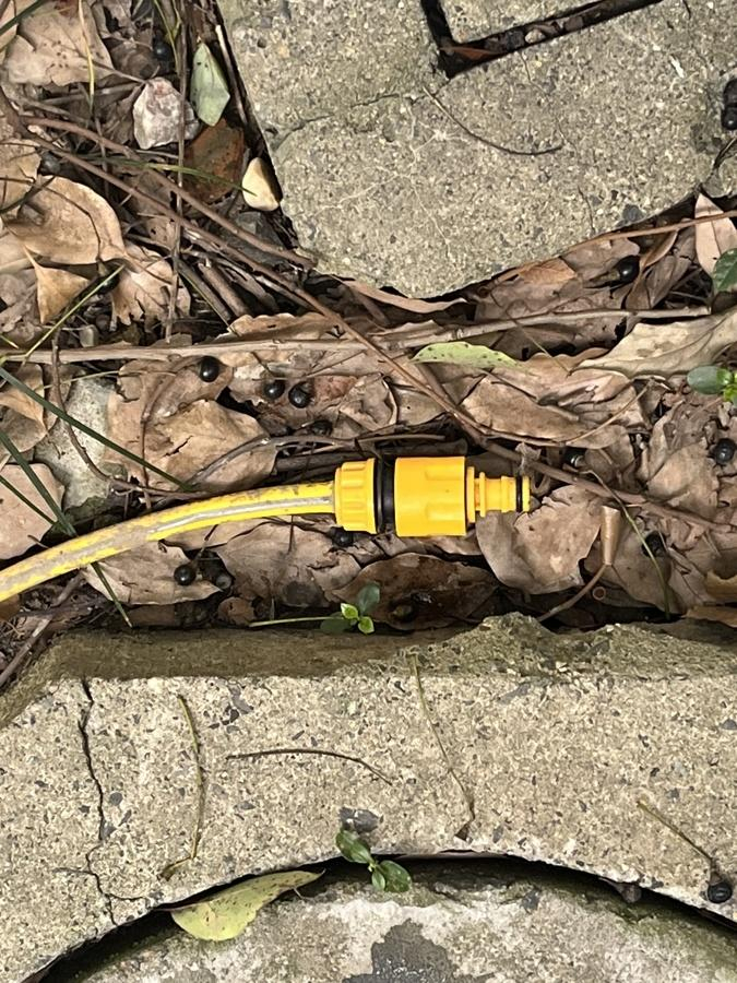 龙鑫嘉园小区内，也可见裸露的充电头。