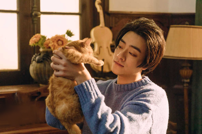 买猫的人最先看到了猫咪的可爱 / 《你好喵室友》剧照