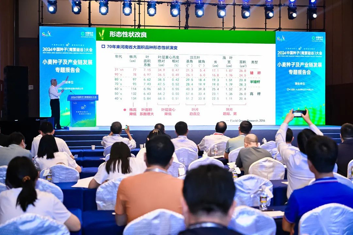 小麦种子及产业链发展专题报告会现场。