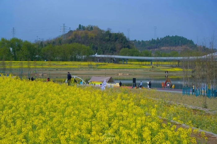 卷桥河湿地公园