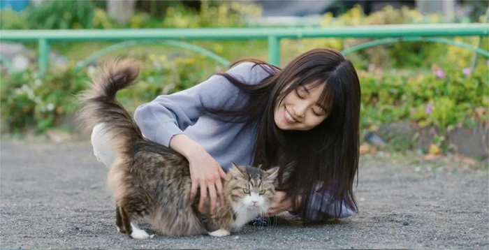 爱猫人士和社会主流大都提倡“以领养代替购买” / 《千寻小姐》剧照