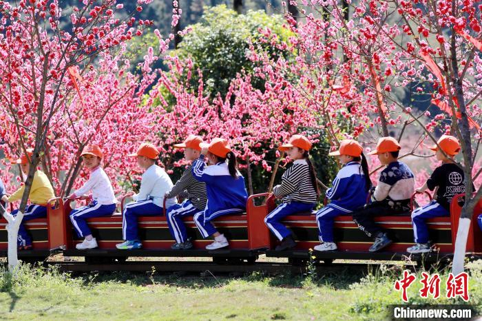 游客赏花游玩。丁春翔 摄
