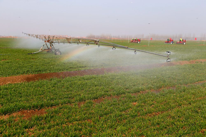 ▲3月14日，在山东省青岛市即墨区蓝村街道，智能喷灌机在麦田里作业。（梁孝鹏 摄）