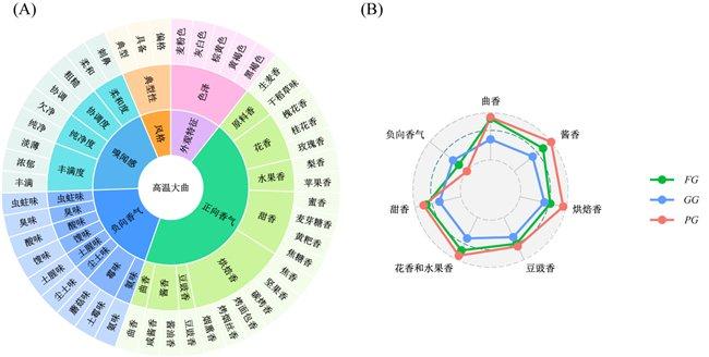 a为风味轮,b为香气雷达图