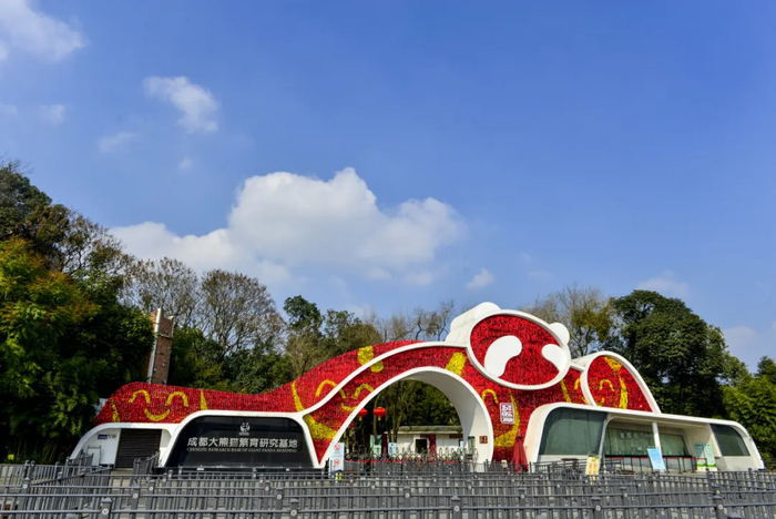 △成都大熊猫繁育研究基地