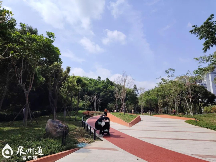 中心市区津淮街与坪山路交叉路口高速桥沿线绿地经过改造，成为附近居民休闲好去处。