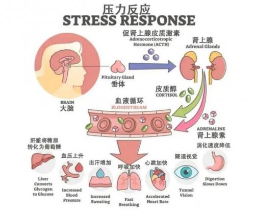 为情所困太久的人