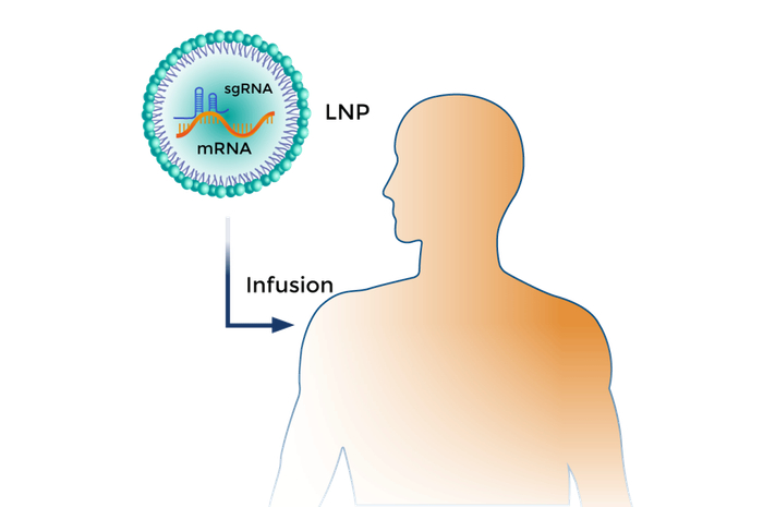 通过LNP递送mRNA及sgRNA来实现表观遗传调控
