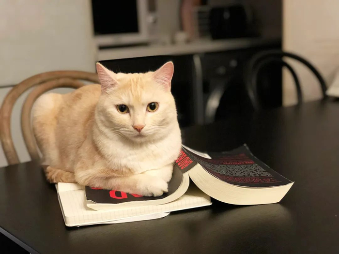 图片来源：每日经济新闻&nbsp; 资料图（图文无关）