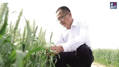 俯身基层 "泥腿子"下田农技薪火相传|智慧农业|粮食|刘俊_新浪新闻