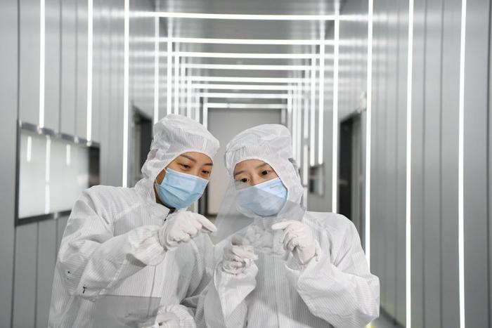 2024年2月21日，在位于安徽合肥的东超科技工厂，技术人员在检查负折射平板透镜原材料的品质。新华社记者 张端 摄