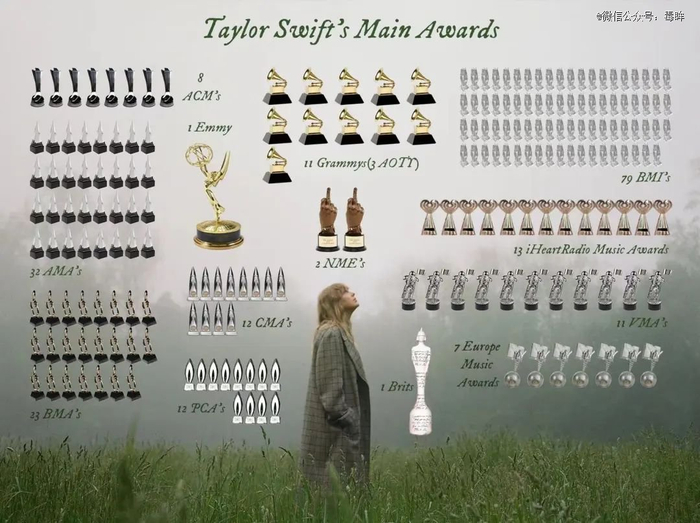 泰勒所获主要奖项（图源：微博）