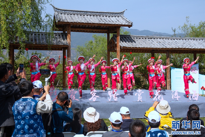 “七彩霞客路·赏花洱海源”活动现场的舞蹈表演（摄于3月26日）。新华网发（杨灿华 摄）