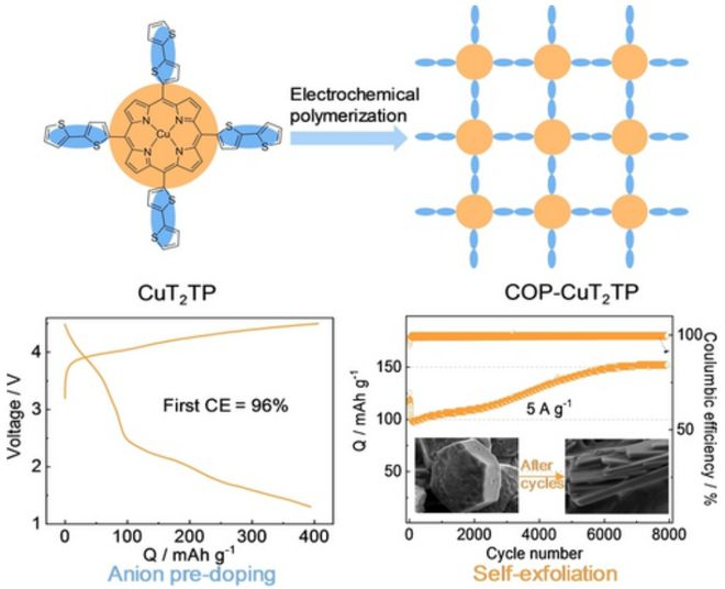 （来源：Angewandte Chemie International Edition）