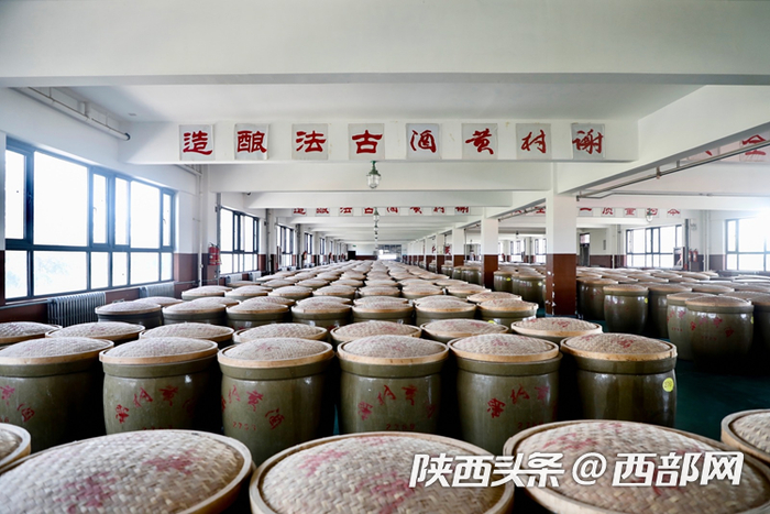 酒窖里摆满了黄酒缸。