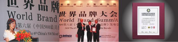 2009年入围中国500最具价值品牌