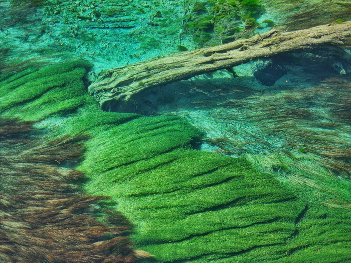 九寨沟的水。（梁枫摄）